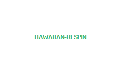 ハワイアンドリームのリスピン画面